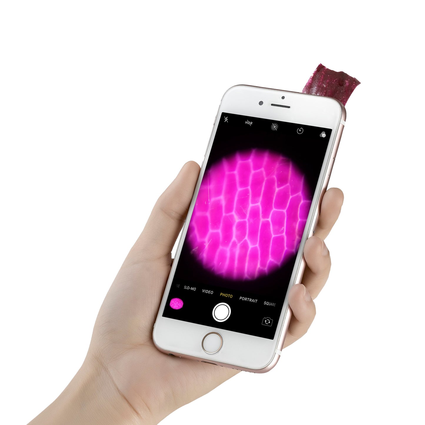 Supereye Microscope Lens Adapter Kit 75x Zoom Magnetic for Smartphone
