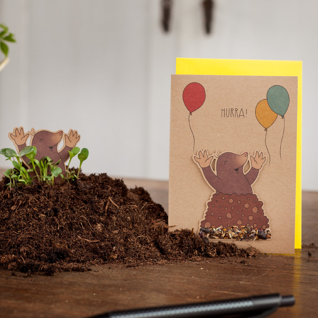 Greeting card "Hurray! Mole"
