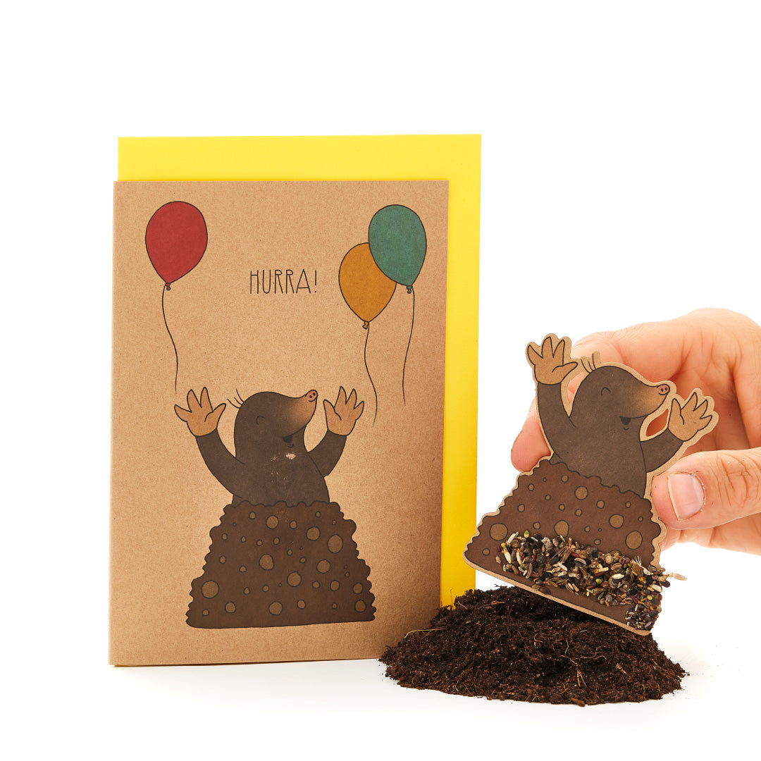 Greeting card "Hurray! Mole"