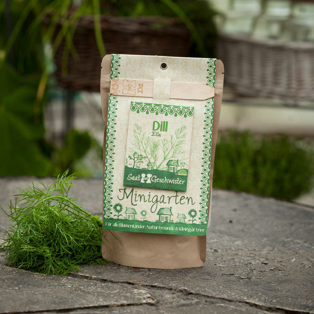 Growing kit – mini garden dill