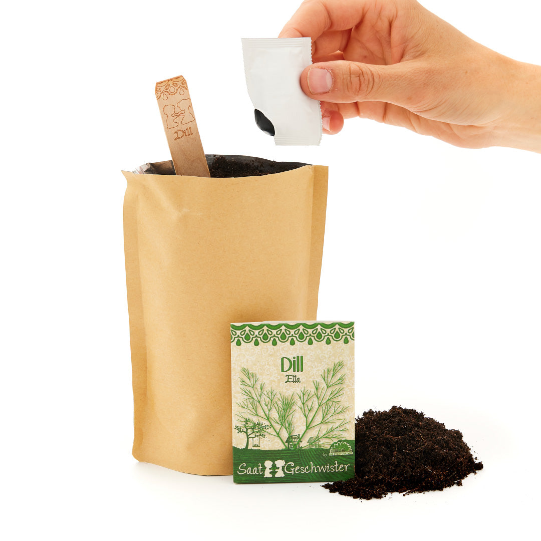 Growing kit – mini garden dill
