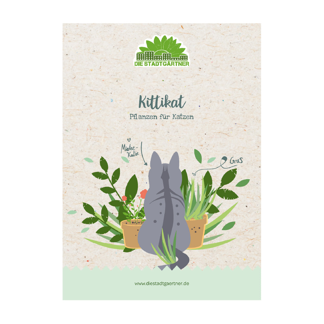 Herb box "Kittikat"