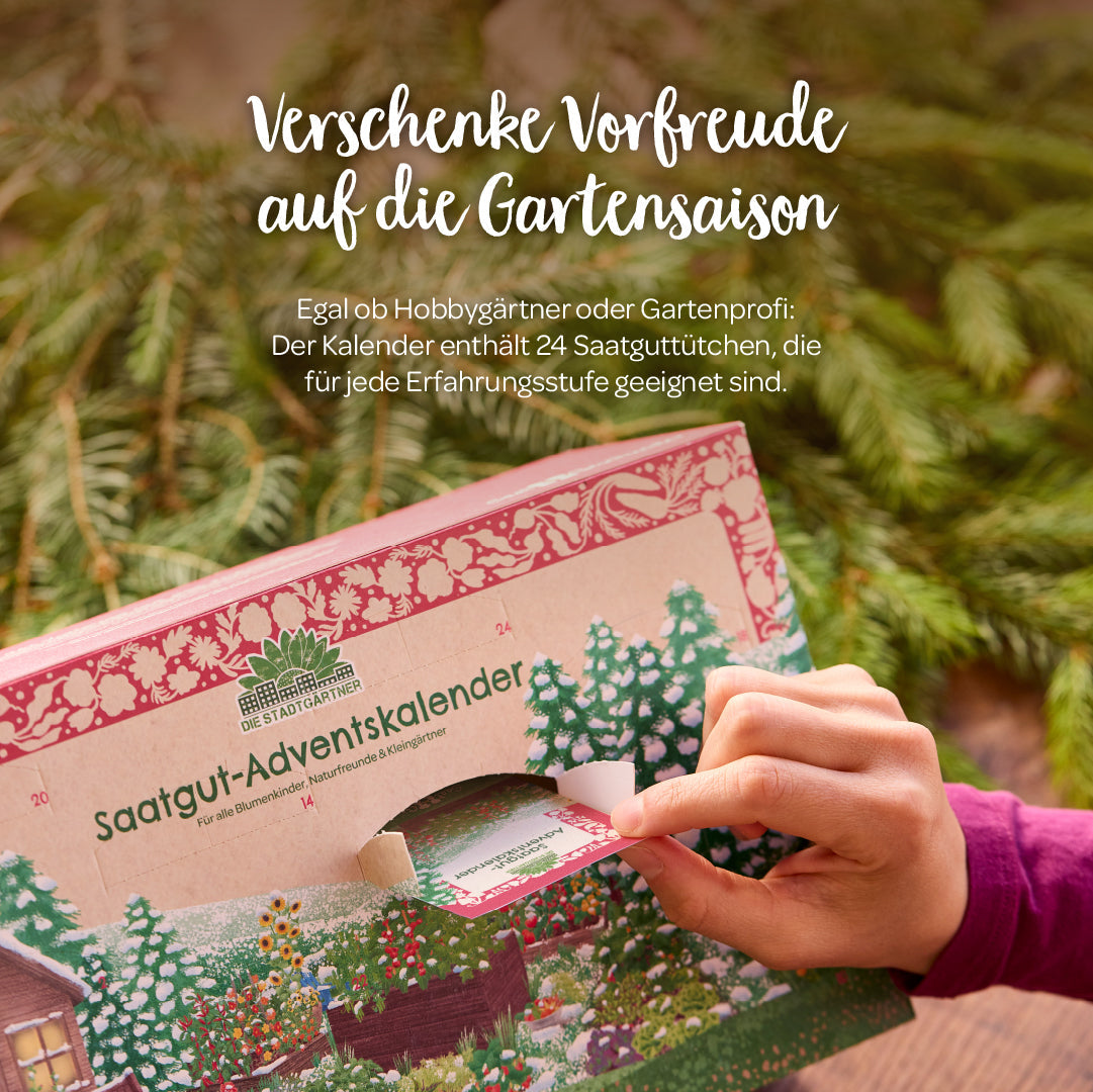 Seed Advent calendar with doors