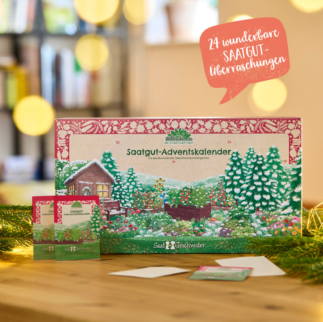 Seed Advent calendar with doors