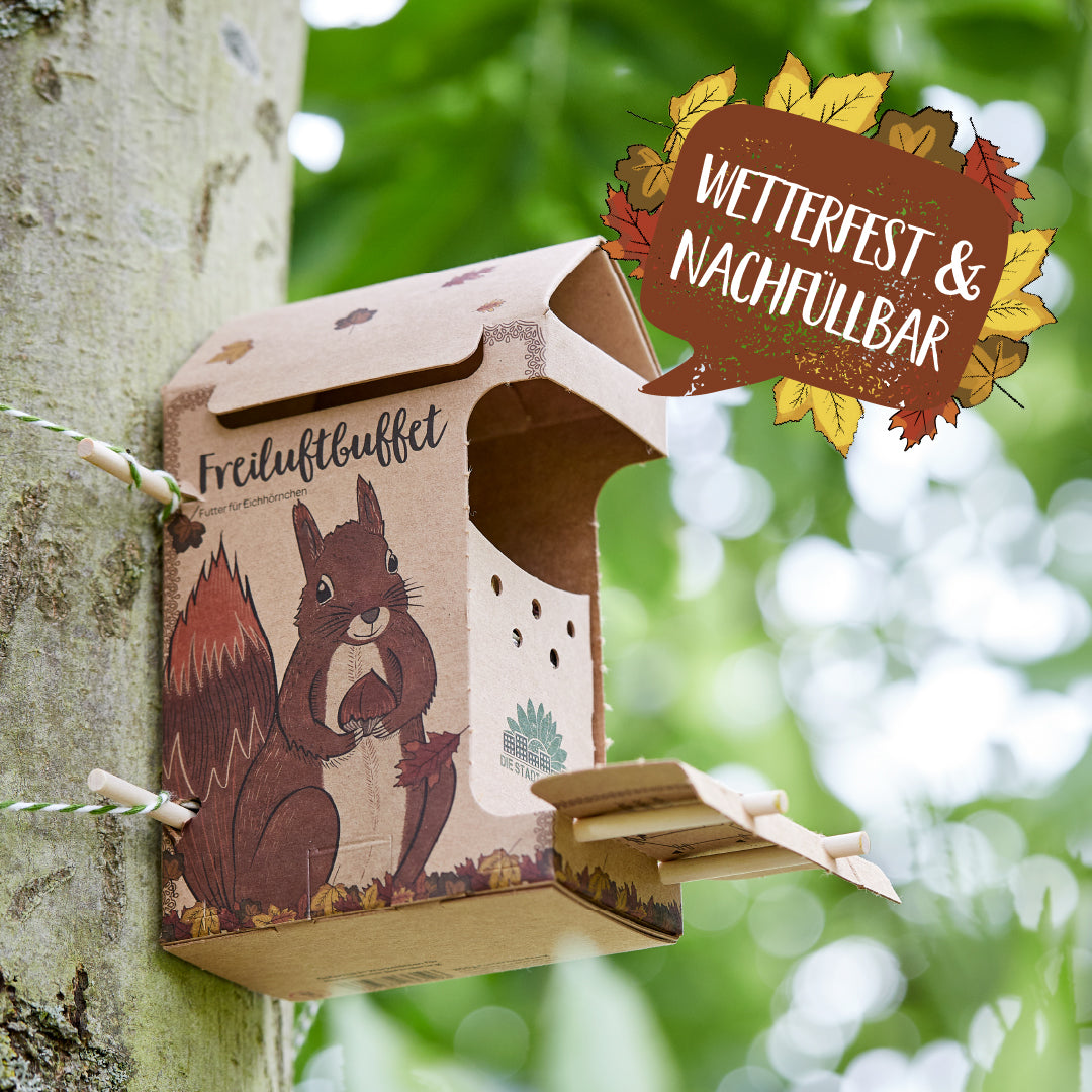 Open-air buffet for squirrels