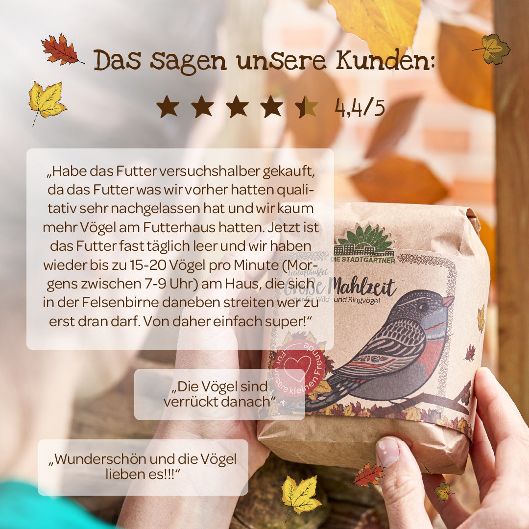 Large meal – 1 L bird food