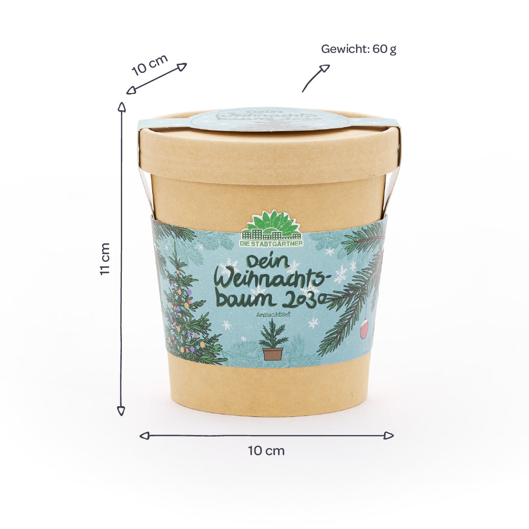 Weihnachtsbaum 2030 aus dem Becher