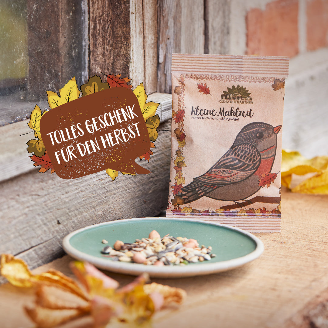 Small meal – bird food