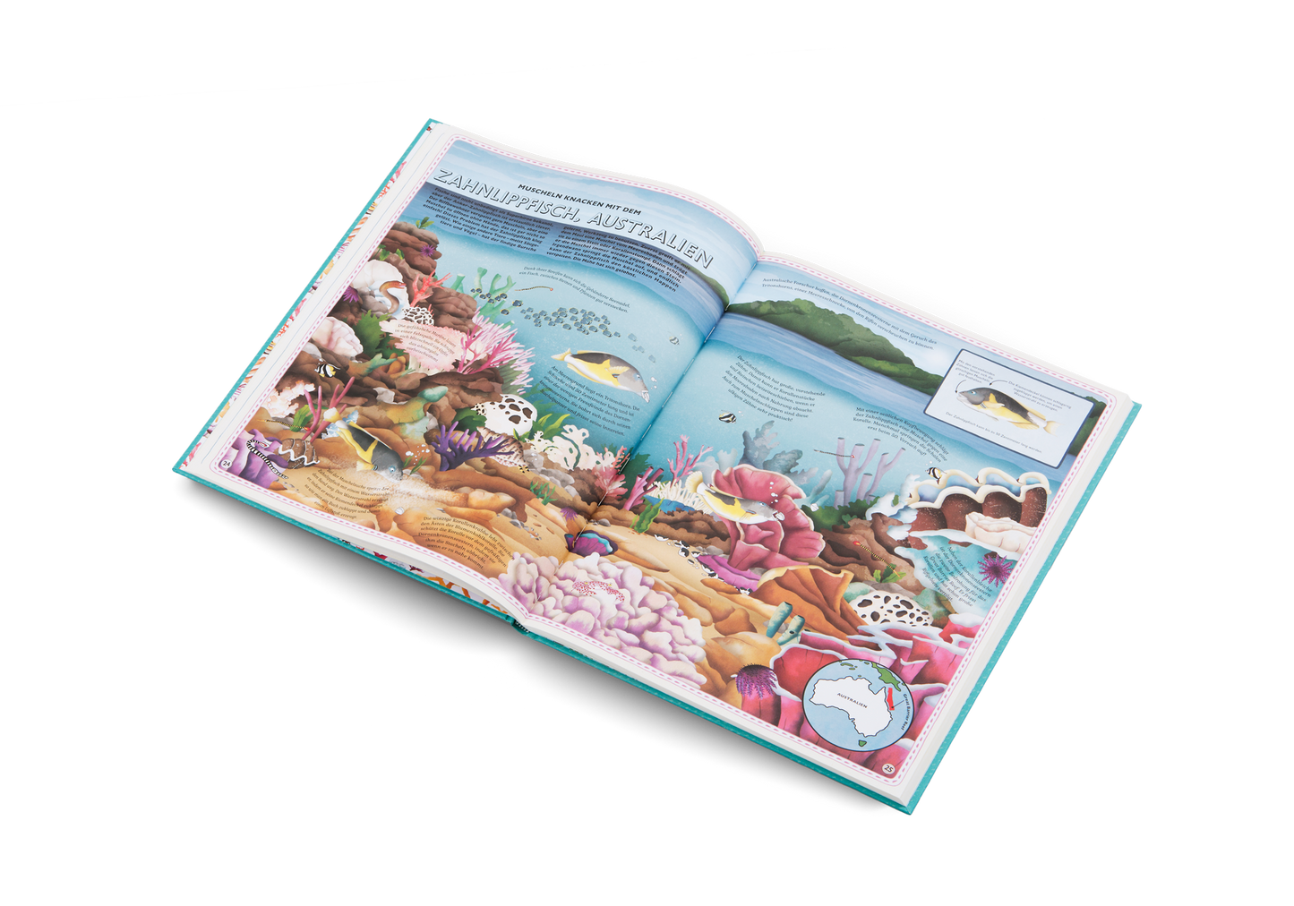 Der Atlas der Ozeane