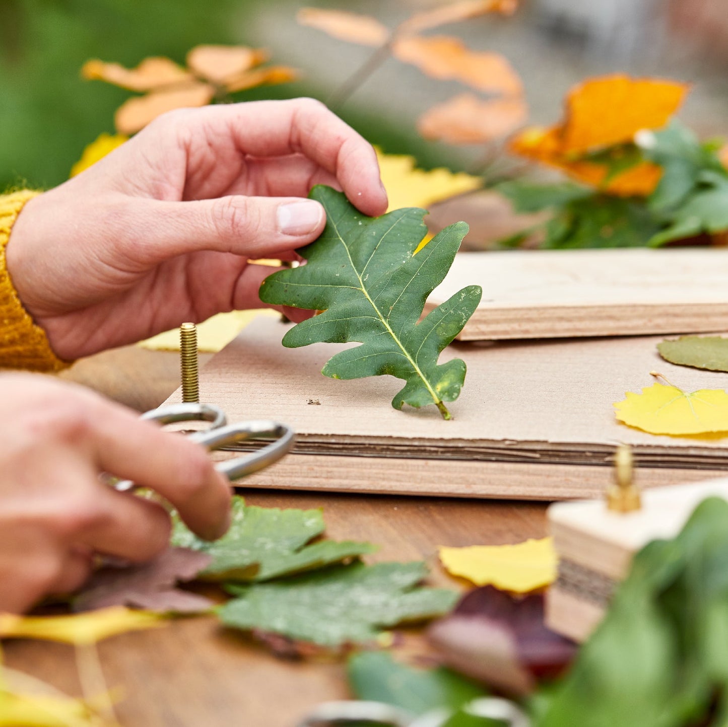 Leaf press for leaves & flowers