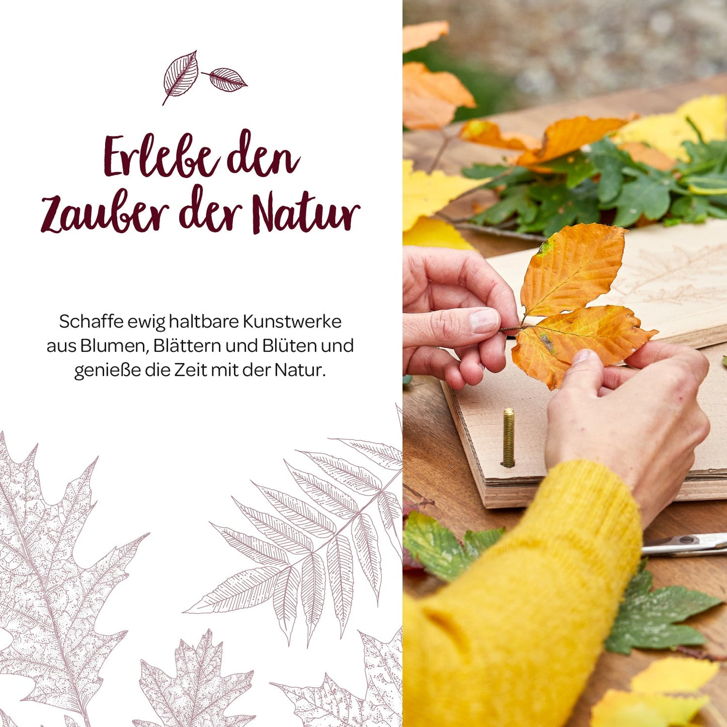 Leaf press for leaves & flowers