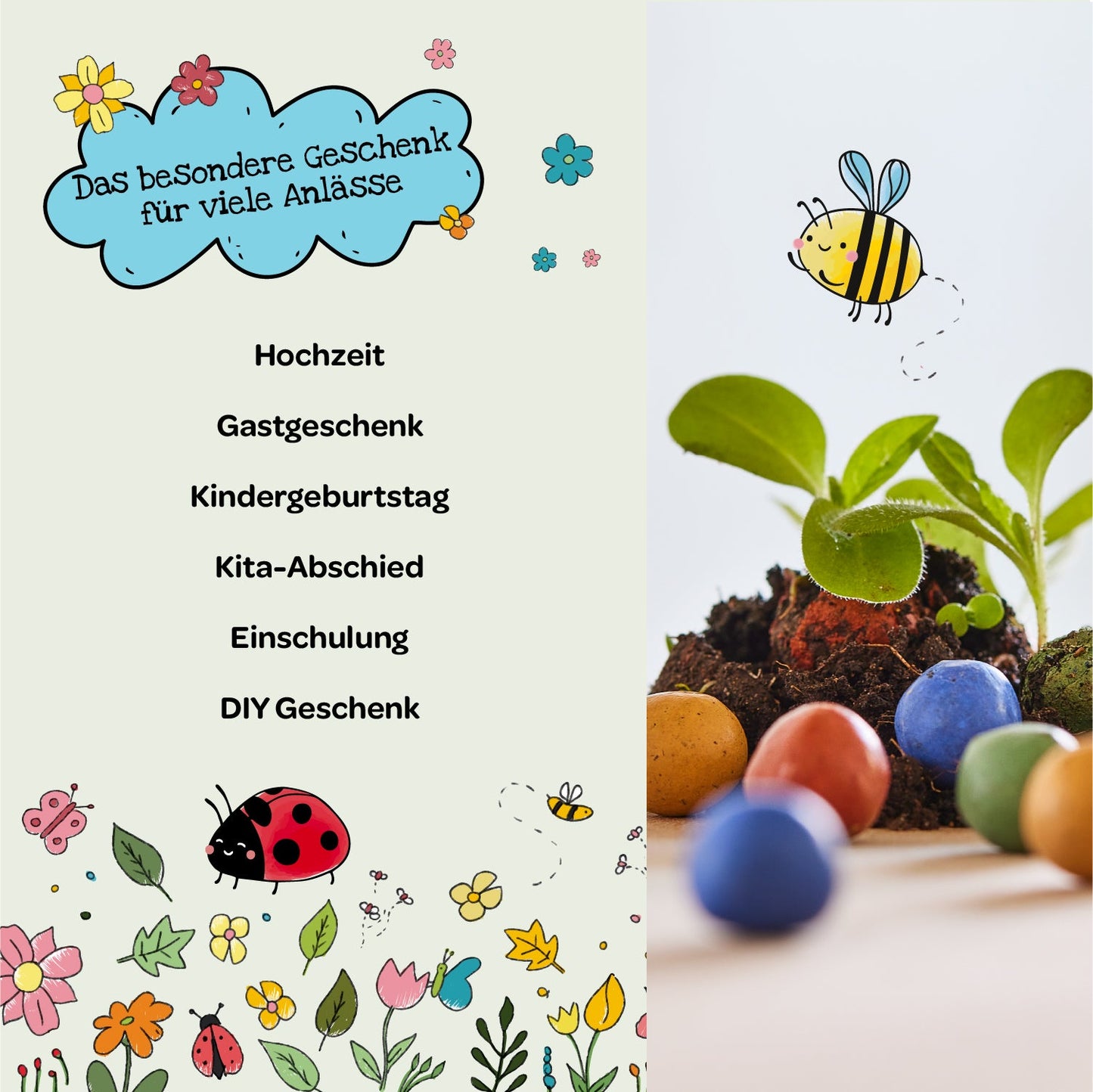6 colorful flower marbles in an egg carton