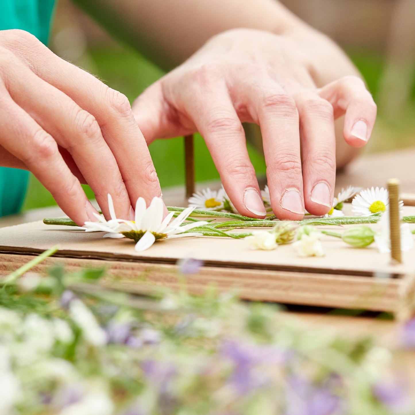 Flower press for flowers, blossoms & co.