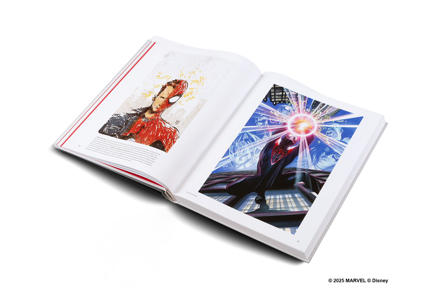 Disney Hotel New York: The Art of Marvel