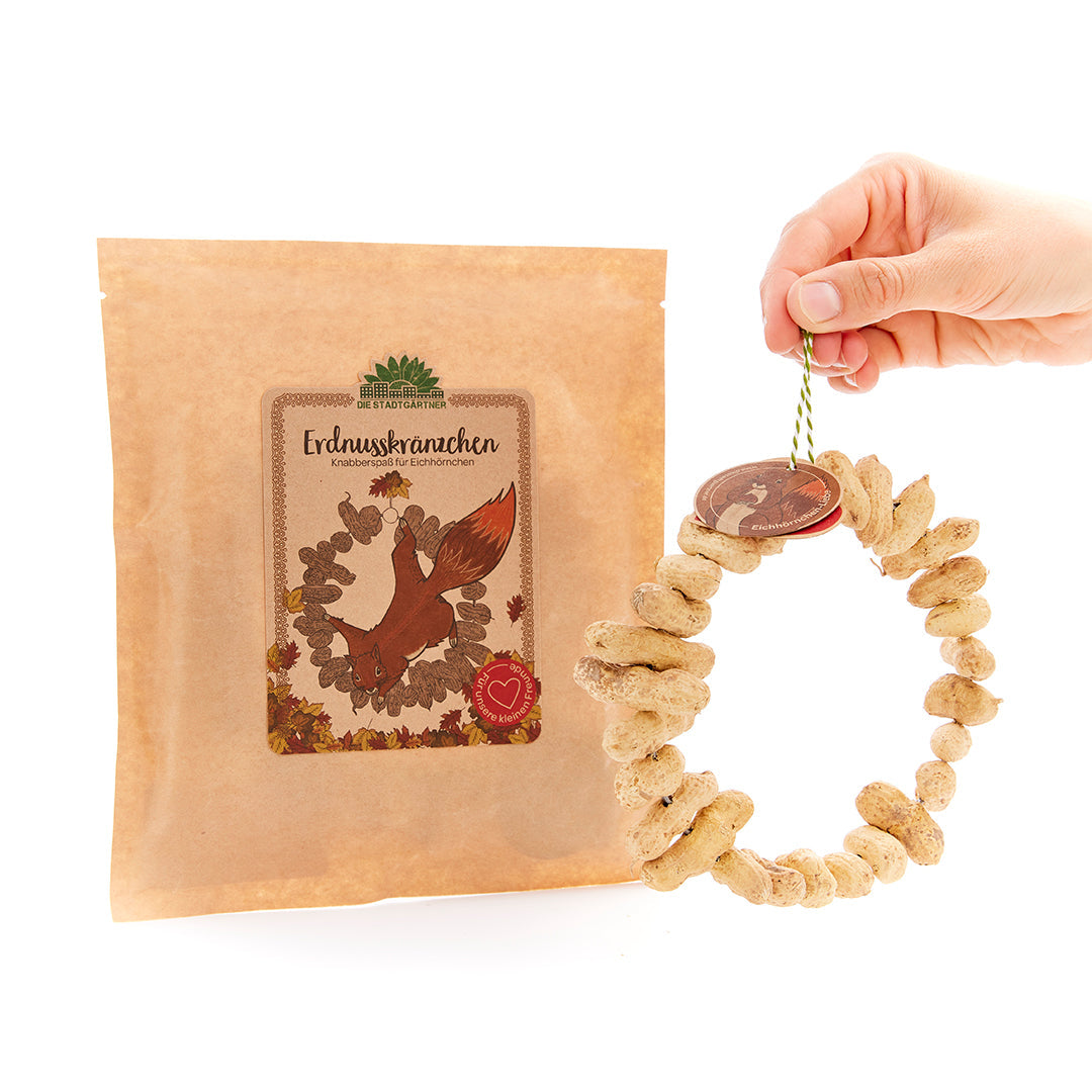 Peanut rings – snack for squirrels