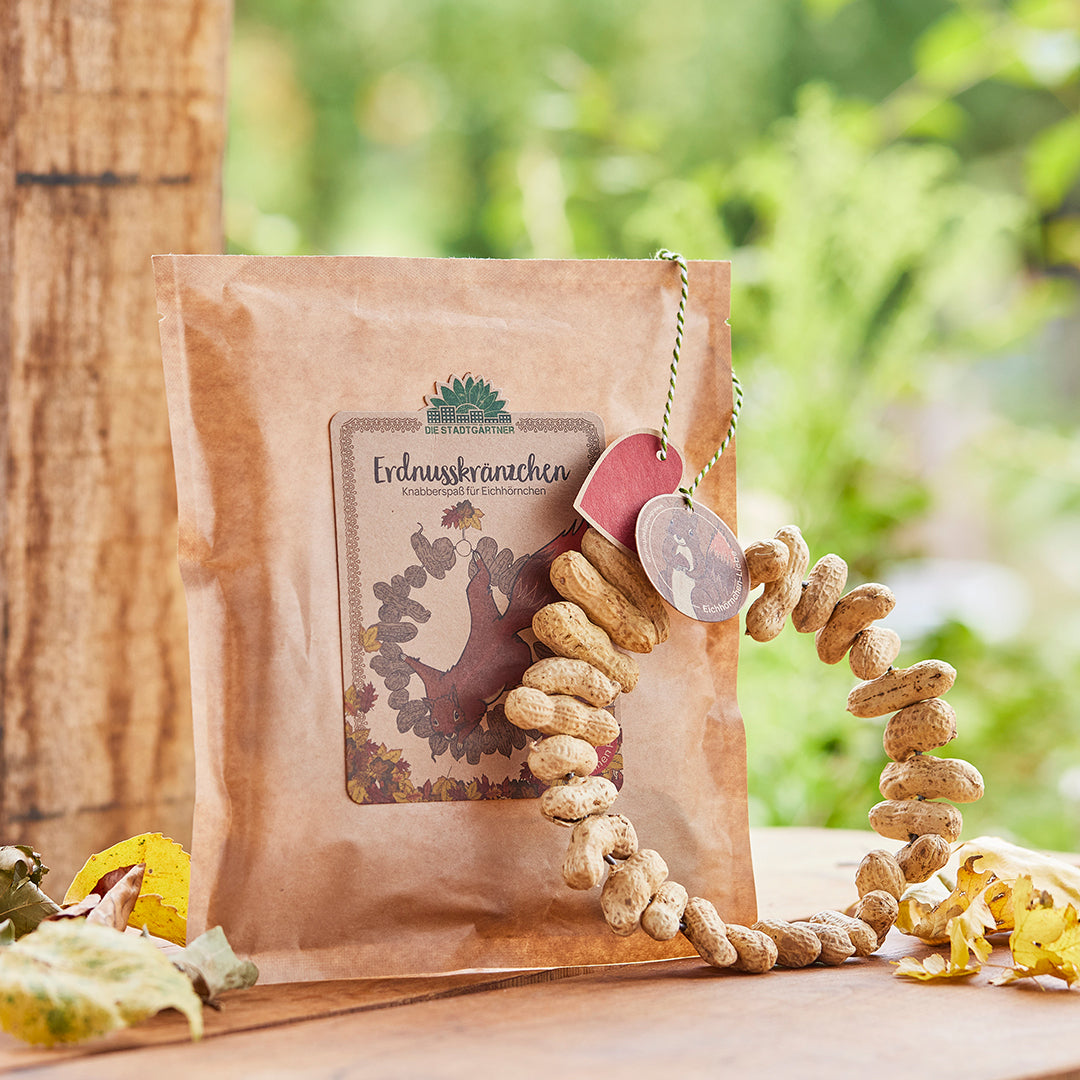 Peanut rings – snack for squirrels