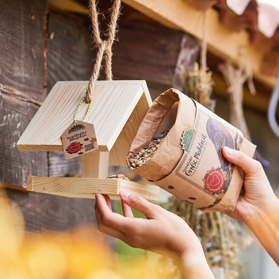 Bird feeder with a large meal