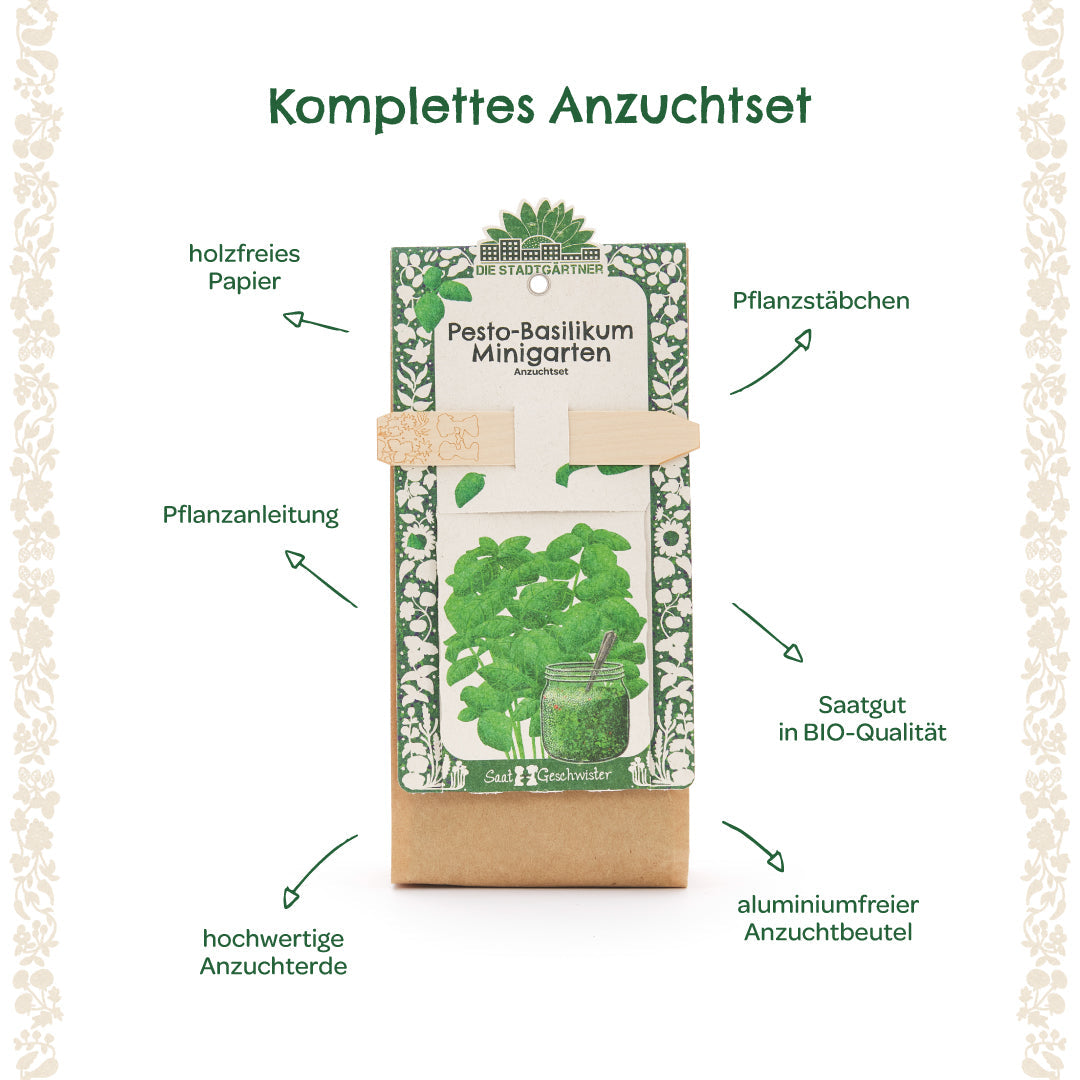Growing kit – mini garden organic basil