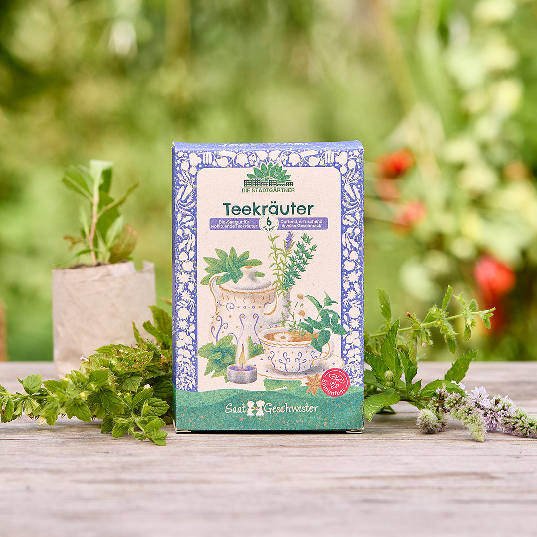 Organic seed set "Tea herbs"