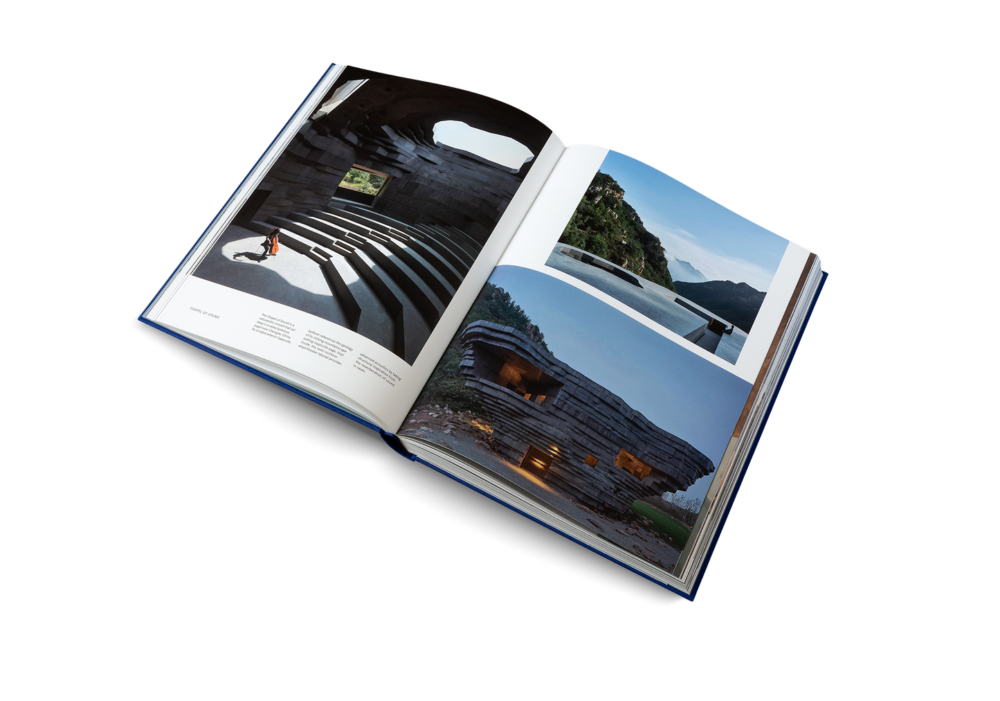 The ArchDaily Guide to Good Architecture - Special Edition