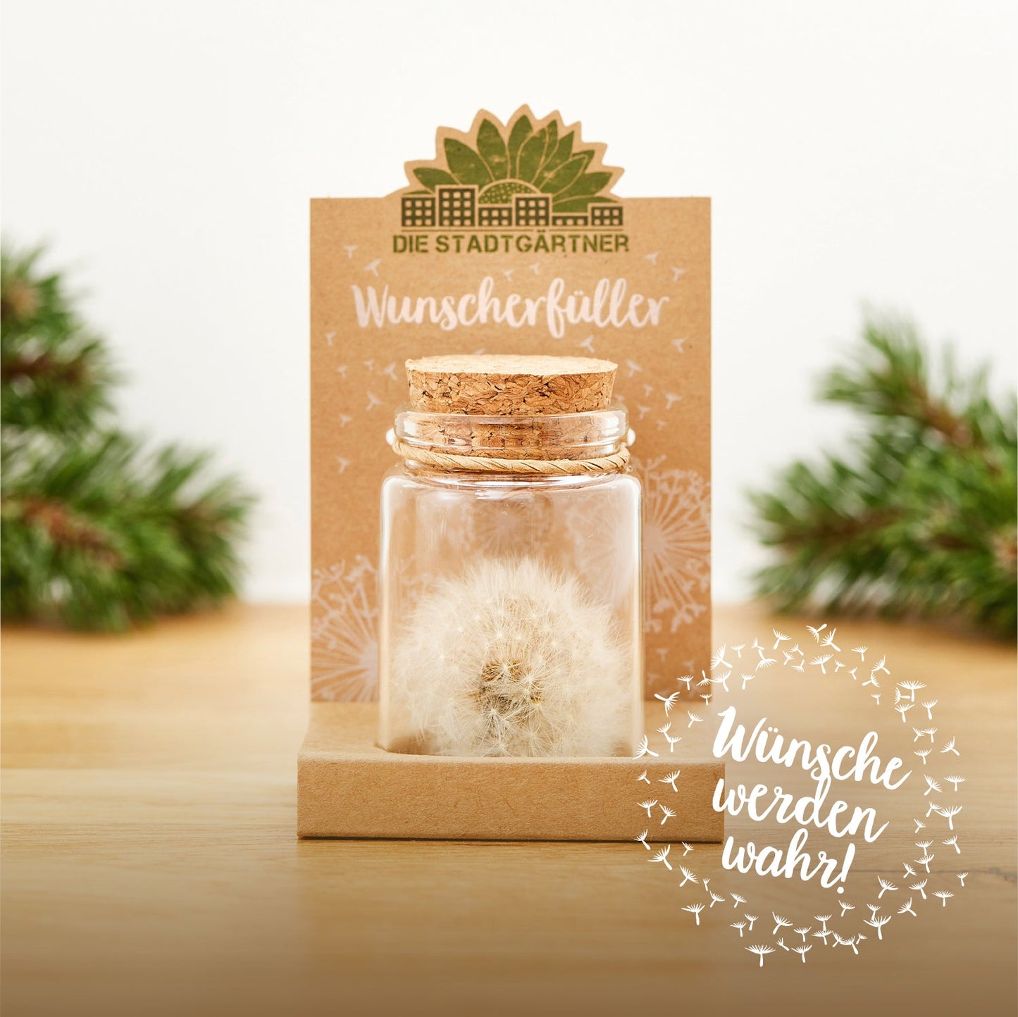 Big wish-fulfiller – dandelion in a glass