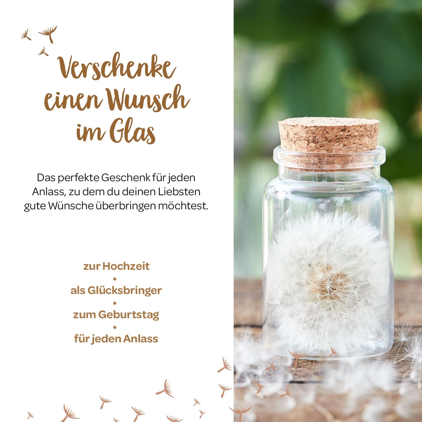 Big wish-fulfiller – dandelion in a glass
