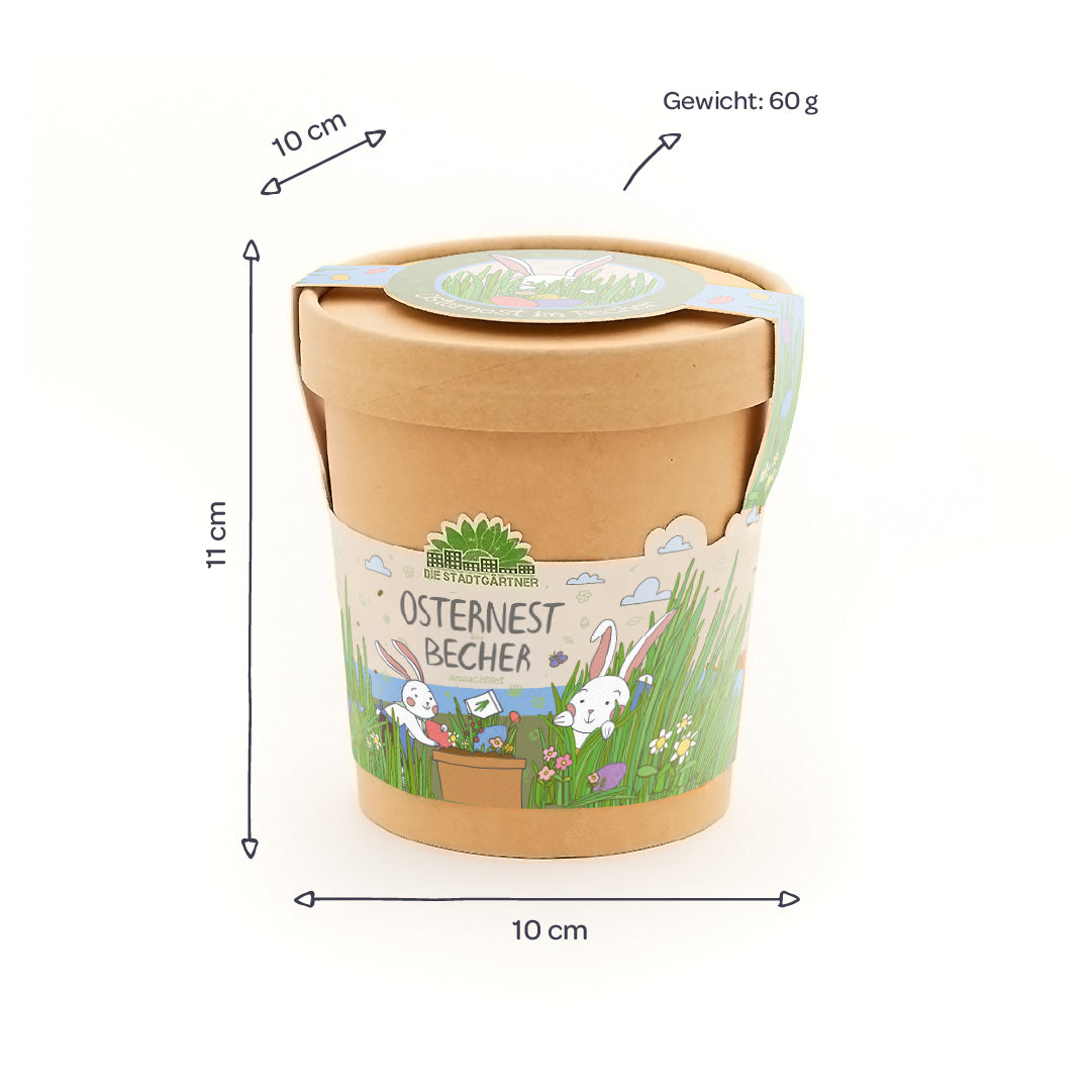 Easter nest from the cup