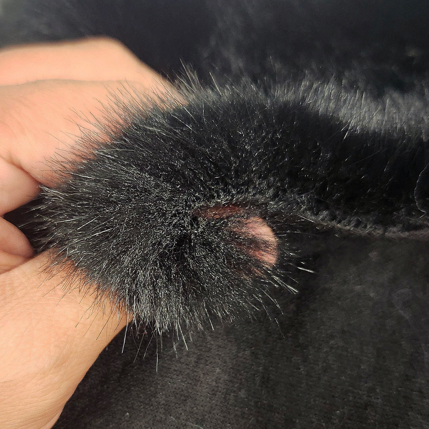 4-Way Stretch Faux Fur – Exklusiv bei Stoffhummel