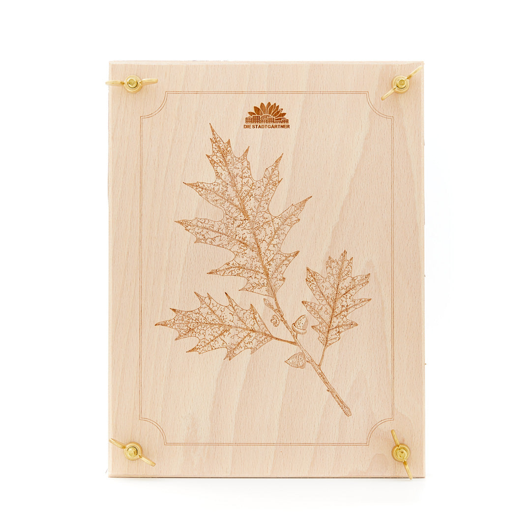 Leaf press for leaves & flowers