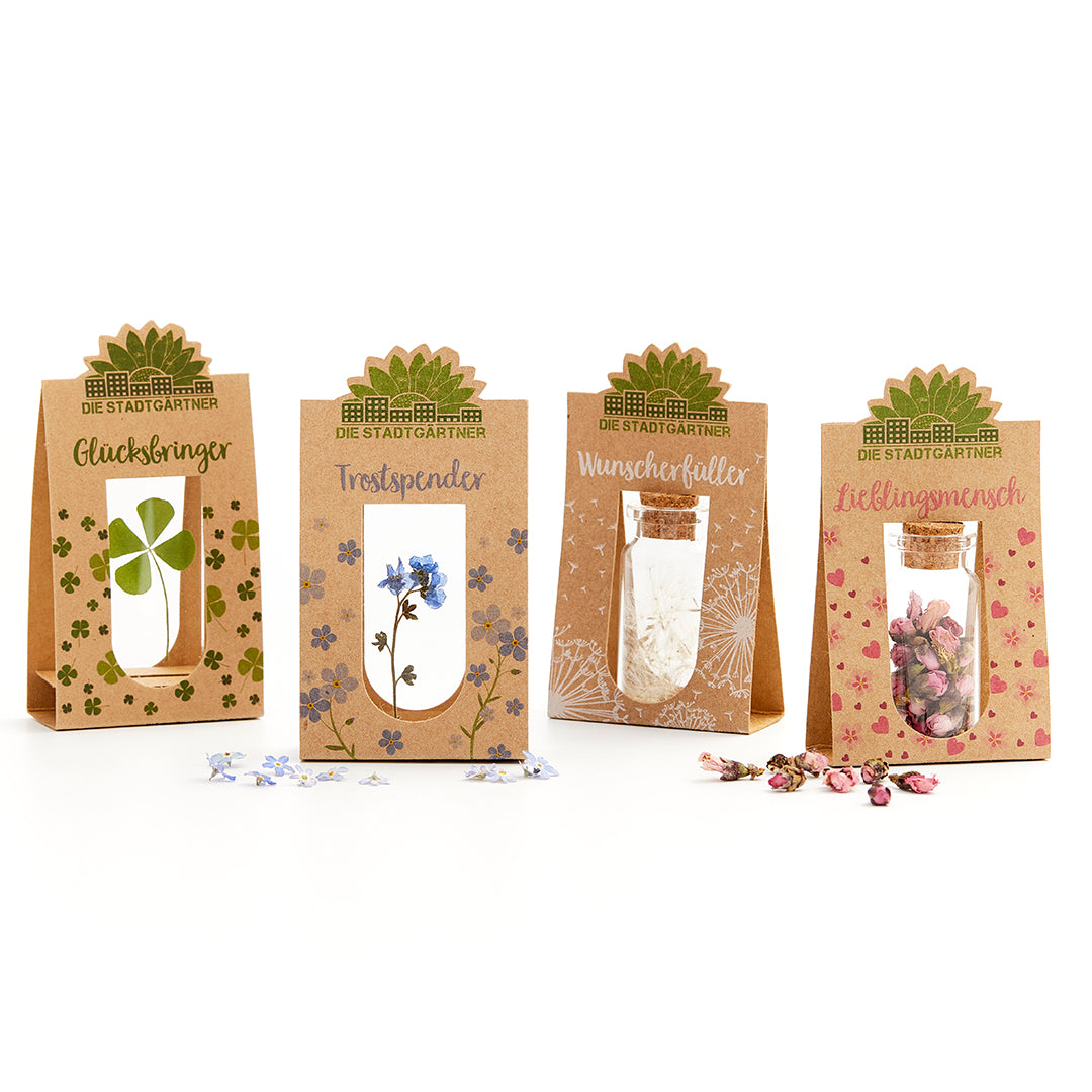 Set of 4 emotion bringers