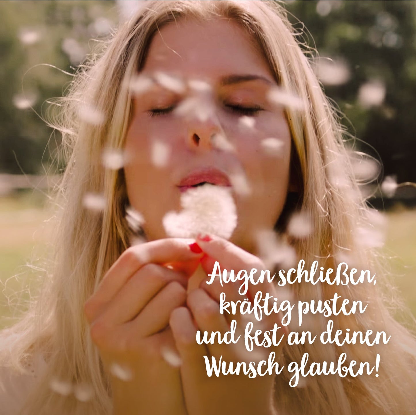 Wunscherfüller mit Pusteblumen-Schirmchen