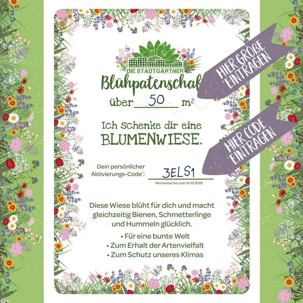 Sponsorship for 10 m² flower meadow to print