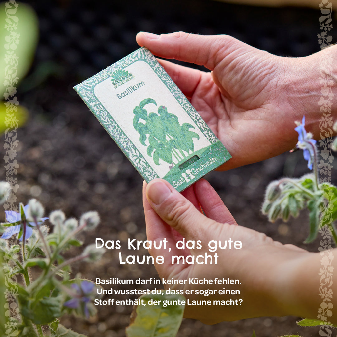 Organic basil seeds