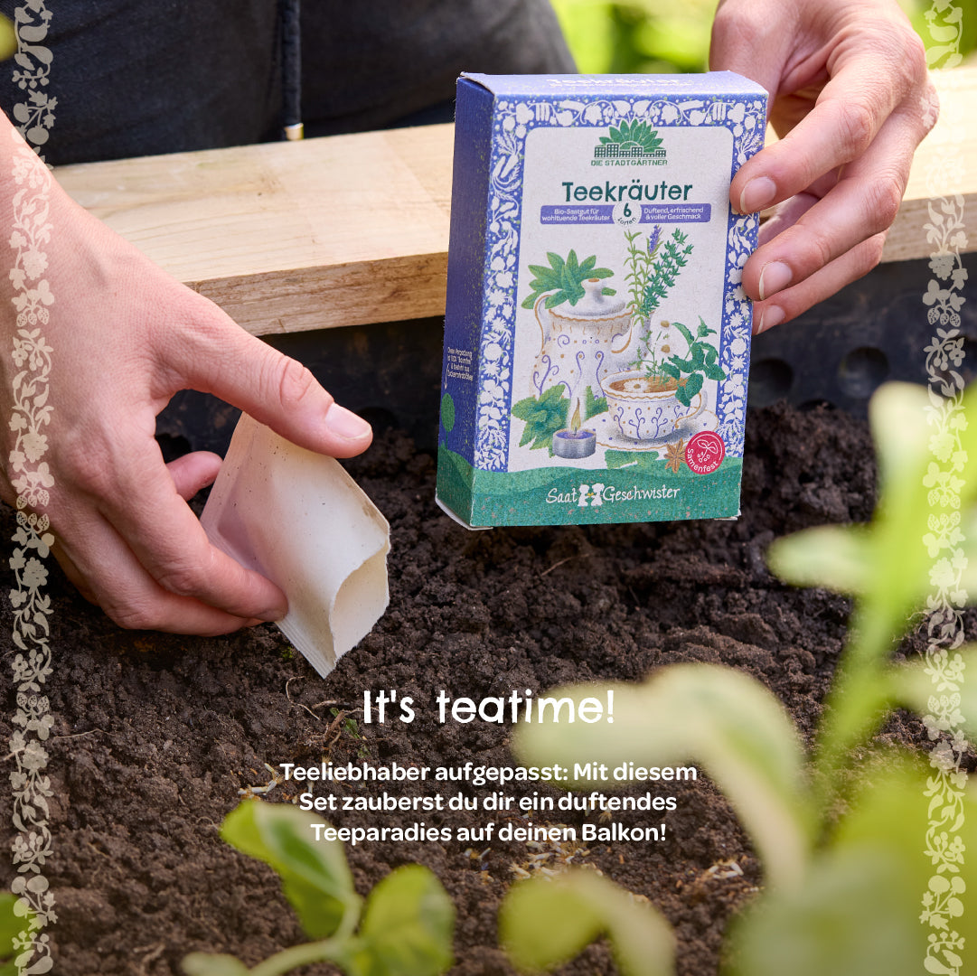 Organic seed set "Tea herbs"