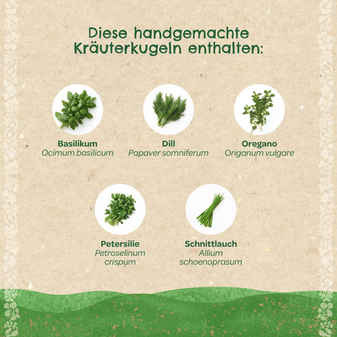 Herb balls – seed balls with herbs