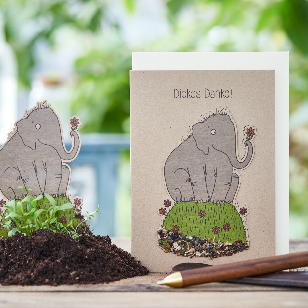 Thank you card "Big thanks"