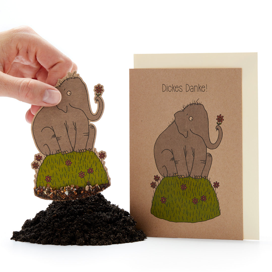 Thank you card "Big thanks"