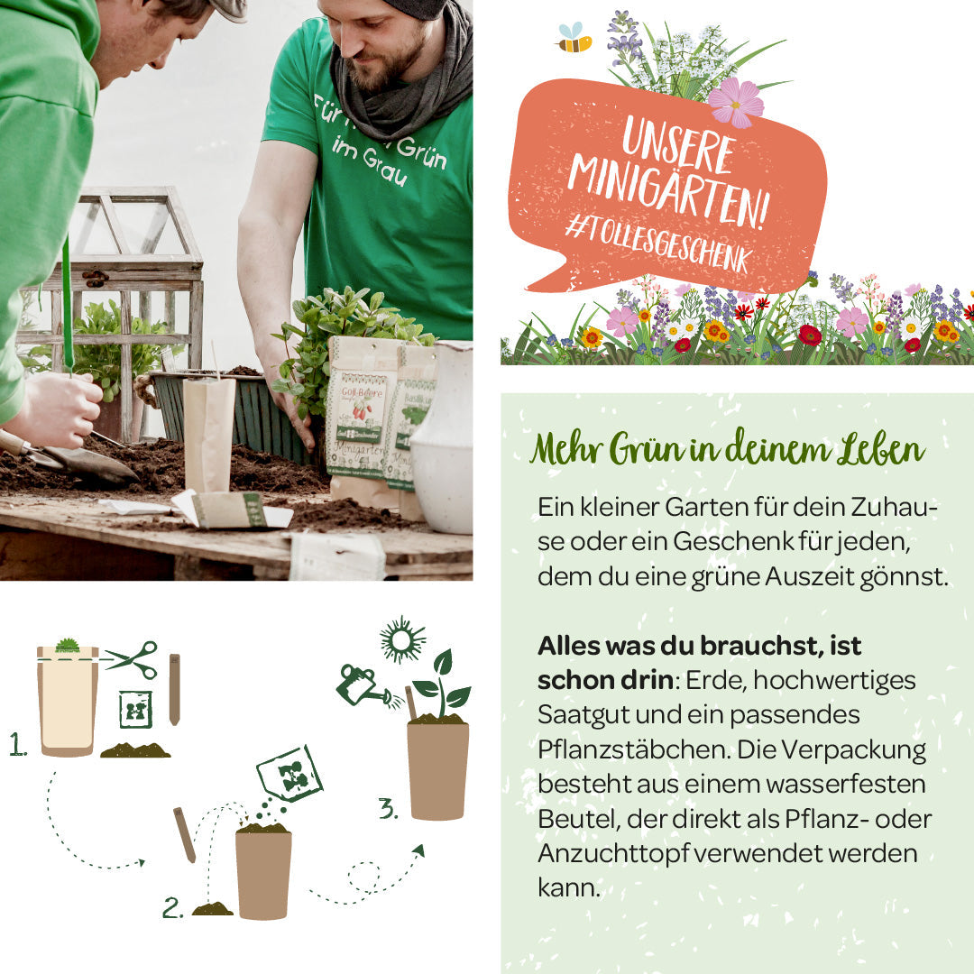 Growing kit – mini garden leek onion