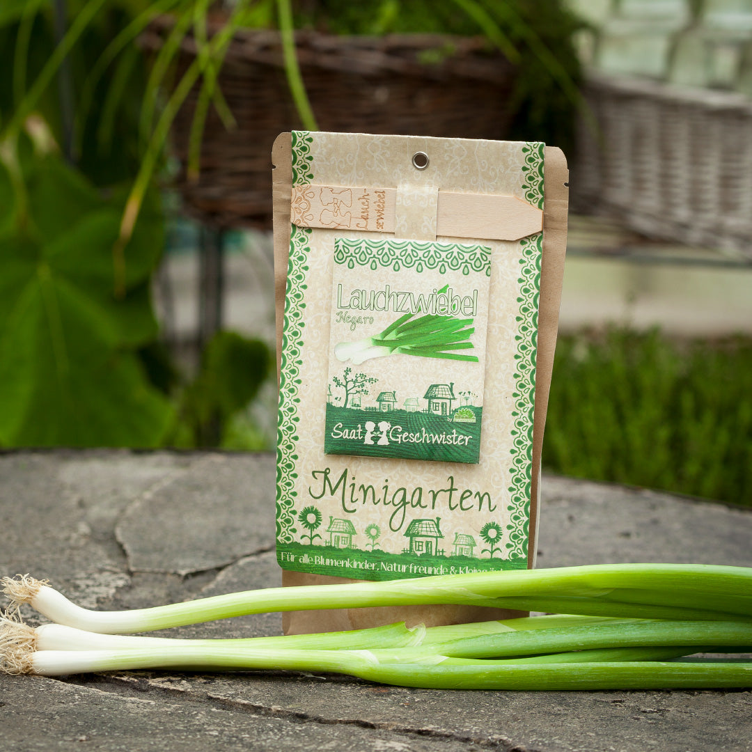 Growing kit – mini garden leek onion