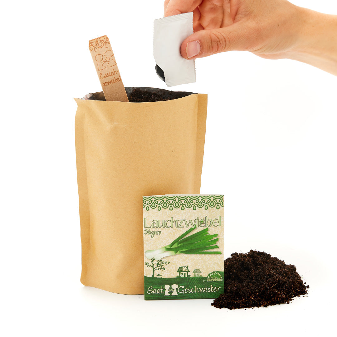 Growing kit – mini garden leek onion