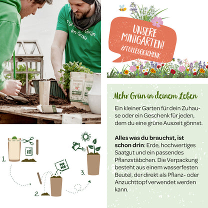 Anzuchtset – Minigarten BIO-Rucola