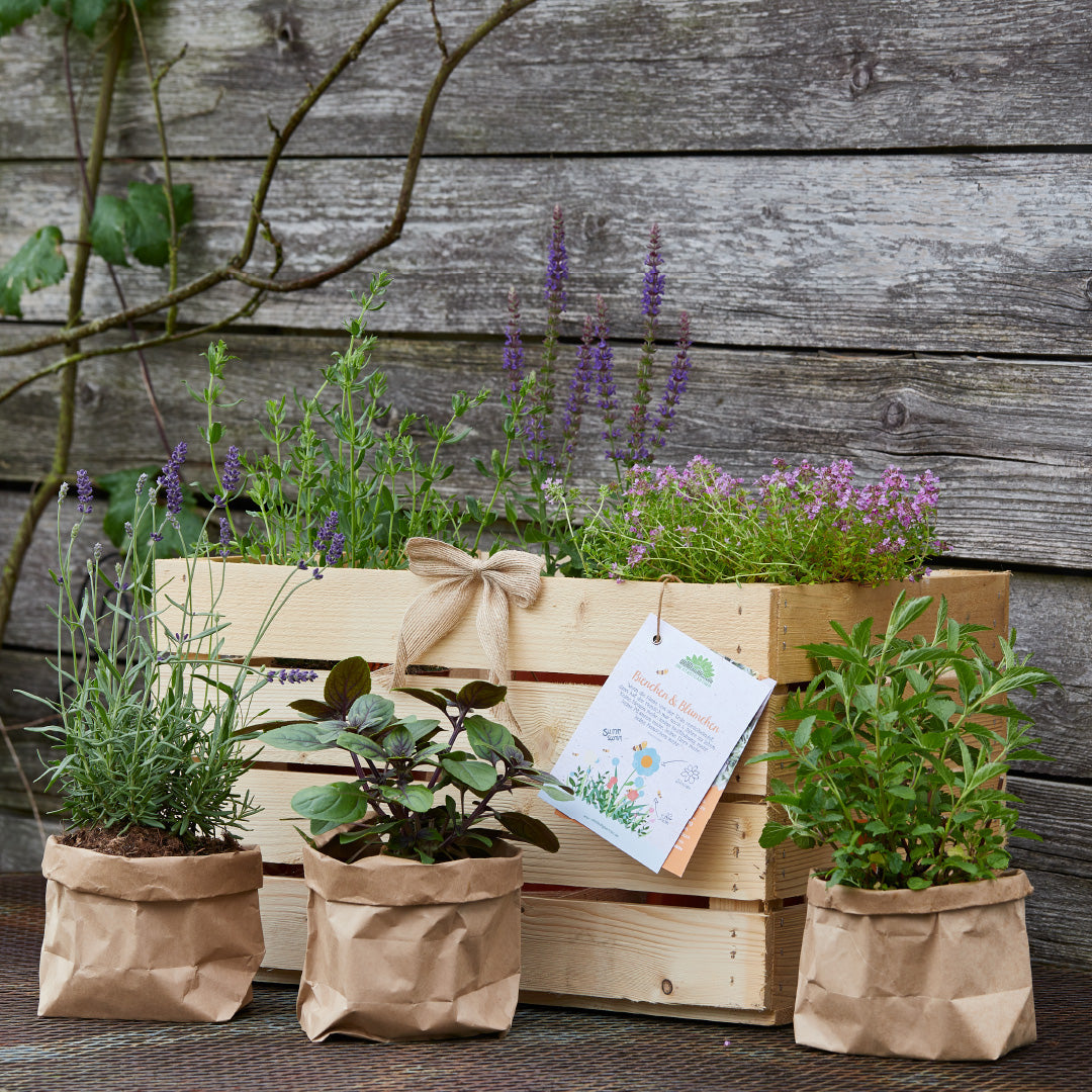 Herb box "Flowers &amp; Bees"