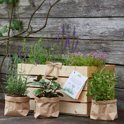 Herb box "Flowers &amp; Bees"