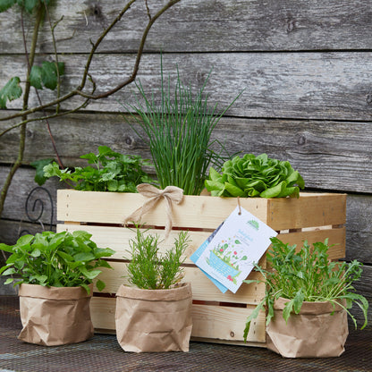Herb box "Salad Happiness"