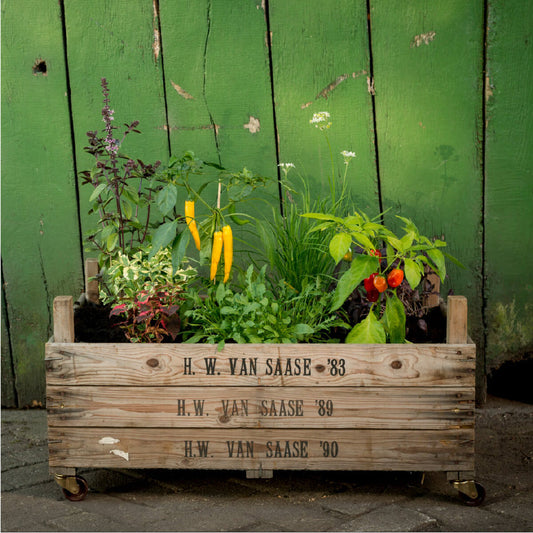 Rolling raised bed made of onion sieves