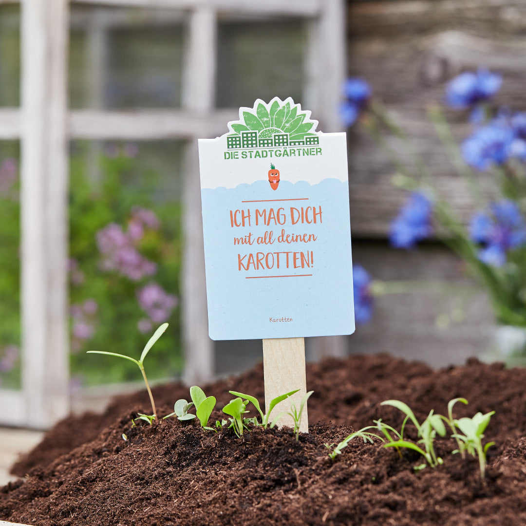 Seed greeting "With all your carrots"