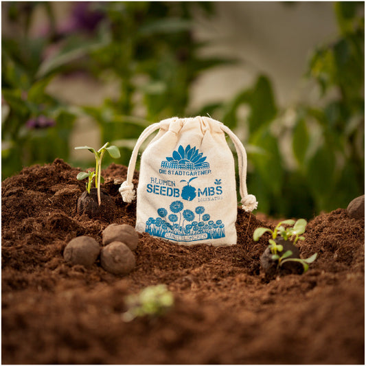 Seed bombs "Daisy" in a jute bag