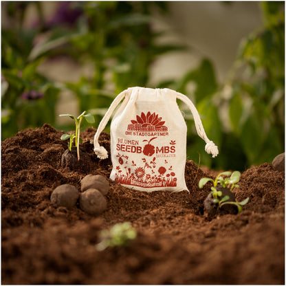 Bee Feast Seed Bombs