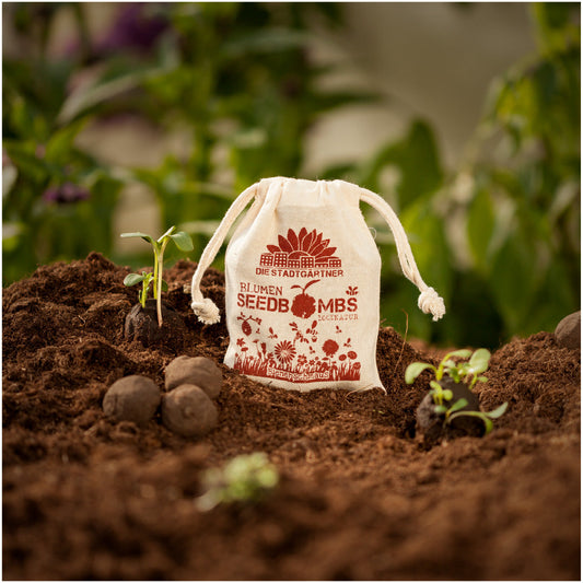 Bee Feast Seed Bombs