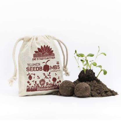 Bee Feast Seed Bombs
